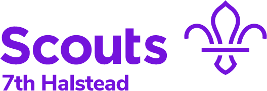 Halstead Scouts