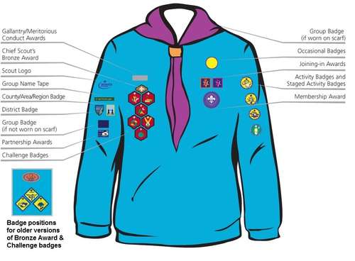 uniform_placement_beavers__1_